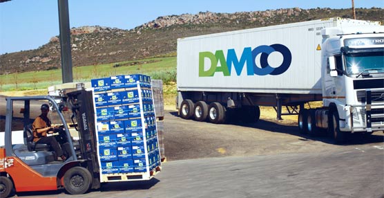 Damco ha sido premiada en México.