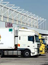 Camiones de transporte de mercancía en Andalucía.