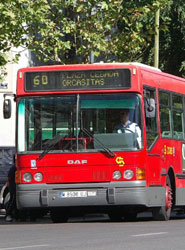 El Consorcio de Transportes de Cádiz instala cuatro vitrinas de información en las paradas interurbanas de Río San Pedro