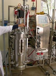 CIEMAT participa en un proyecto internacional para lograr un nuevo biocombustible.
