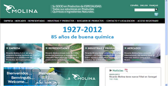Página web de la empresa de distribución del sector químico Ricardo Molina.