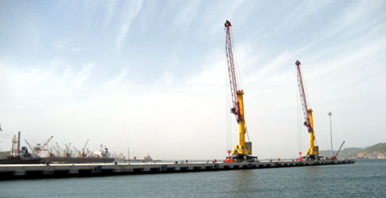 Terex entrega una carretilla apiladora de vacíos al puerto de Turquía para mejorar la eficiencia de sus operaciones