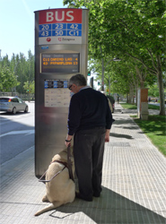 Un usuario del transporte público de Zaragoza espera en una parada.