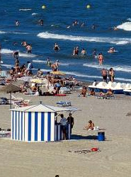 Para este año, la línea 20 de verano, ofrece una conexión directa entre la Ciudad de las Artes y las Ciencias, la  Marina Real y las Playas.