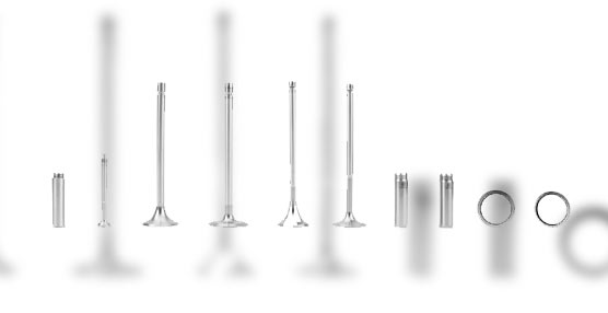 Las válvulas de motor de la marca DT Spare Parts son expuestas a muy altas temperaturas de más de 1000 °C y son sometidas a presión y tracción.