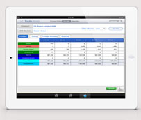 ToolsGroup acaba de lanzar la app para iPad de su aplicación Demand Collaboration Hub (DCH)