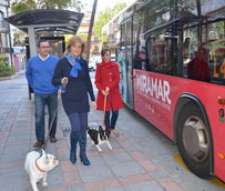 El Ayuntamiento de Fuengirola ha dado &lsquo;luz verde&rsquo; al acceso de perros en los autobuses urbanos