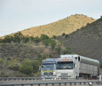 Resueltas por v&iacute;a arbitral m&aacute;s de 2.200 reclamaciones sobre transportes el a&ntilde;o pasado en la Comunidad de Madrid