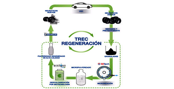 Michelin, CEA, Prot&eacute;us y SDTech desarrollar&aacute;n dos innovadoras v&iacute;as para valorizar neum&aacute;ticos usados