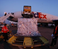 FedEx abre su estaci&oacute;n n&uacute;mero 100 en la ciudad de Sevilla dentro de su programa de crecimiento en Europa