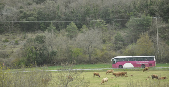 La CNMC cree que los nuevos pliegos de Fomento reguladores del transporte de pasajeros son contrarios al libre mercado