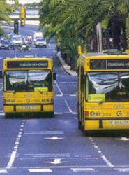 Autobuses de la empresa Guaguas Municipales.