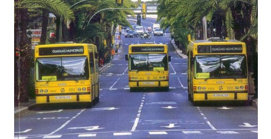 Guaguas Municipales incrementa en el &uacute;ltimo a&ntilde;o m&aacute;s de un 3% los usuarios del servicio exclusivo para PMRs