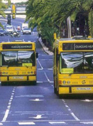 Autobuses en Canarias.
