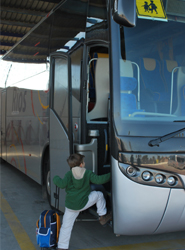 ANET advierte de las lagunas existentes en la normativa establecida sobre medidas en el transporte escolar