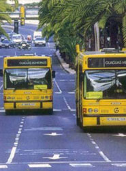 Autobuses de Guaguas Municipales.