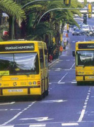 El autobús concentró el 54% del volumen de negocio sectorial en 2014.