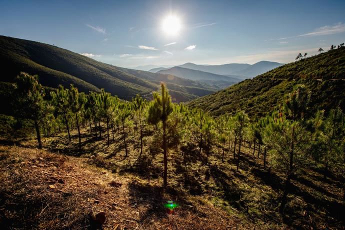 Un aire limpio hacia un impacto ambiental y sanitario cero