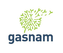 El gas natural, la alternativa clave para el transporte de mercanci&#769;as