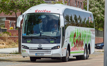 The Bus integra a Socibus y refuerza su posición en el interurbano