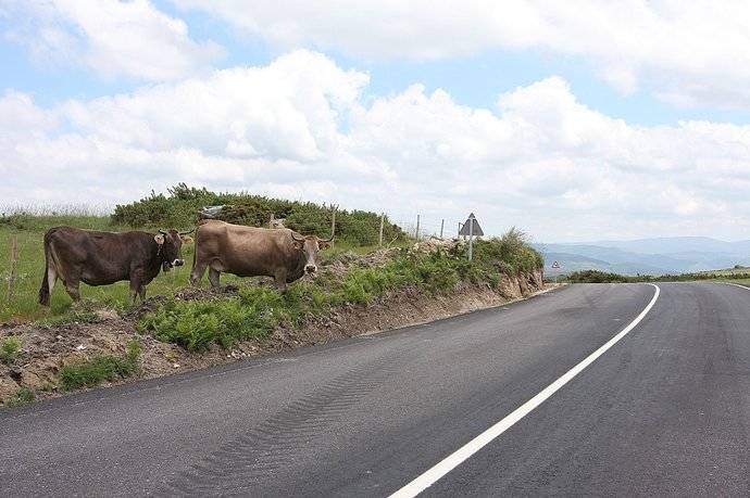 Una carretera ourensana.