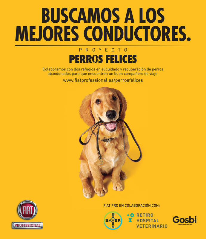 Fiat Professional da bienvenida a Gosbi, ayudante proyecto Perros Felices