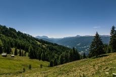 Día Internacional de los Bosques, también en el Sector