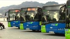 Autobuses híbridos Dbus (Imagen de archivo).