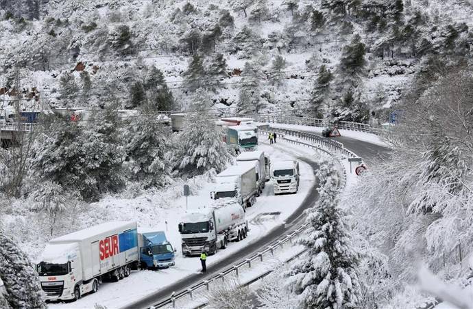 Algunos de los camiones paralizados en carreteras catalanas.