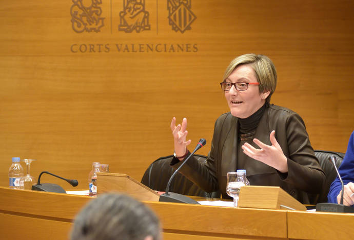 María José Salvador, durante su comparecencia en las Cortes Valencianas.