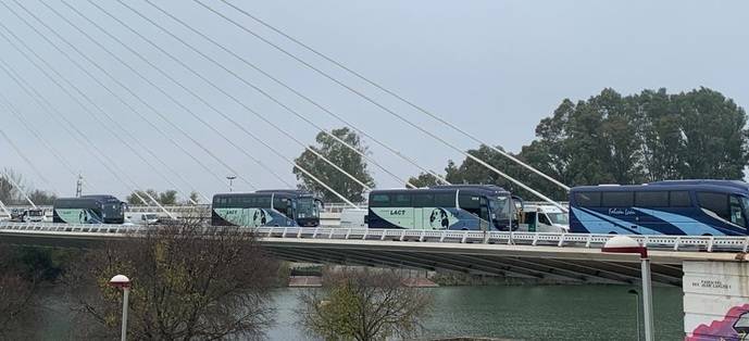 850 autobuses de Sevilla se ofrecen para agilizar la vacunación