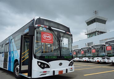 Primera flota de eléctricos BYD en Ecuador