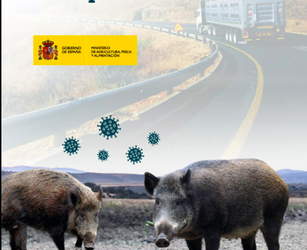 El Ministerio de Agricultura alerta al transporte de una posible peste porcina