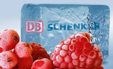 DBSchenkerReefer: especializado en temperatura controlada