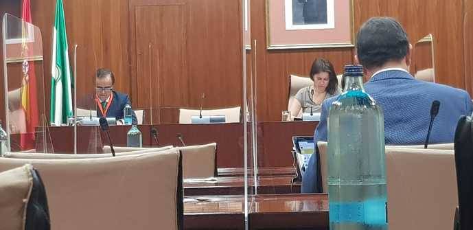 Fandabus comparece en el Parlamento andaluz