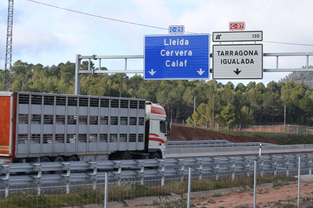 Un camión circula por una carretera catalana.