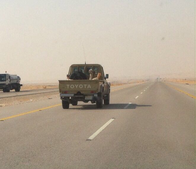 Una carretera saudita.