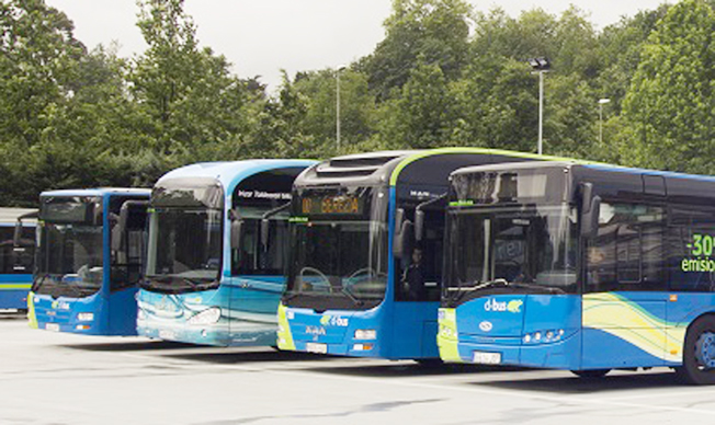 Varios autobuses de Dbus.