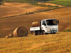 Modelo Isuzu con Adblue.