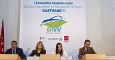 La delegada de Medio Ambiente y Movilidad, Inés Sabanés, durante la presentación del proyecto.