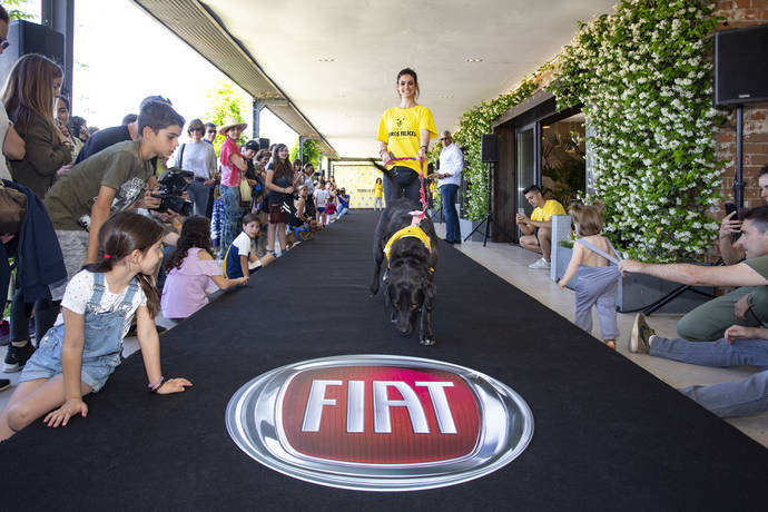 Fiat Professional muestra que en verano se puede disfrutar mascotas