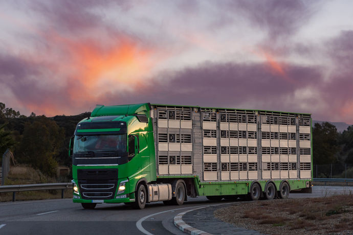 Los transportistas de animales vivos también reclaman ayuda