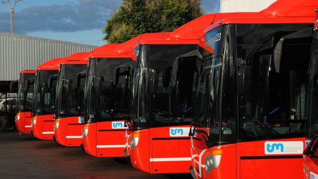 Varios autobuses murcianos de transporte público.