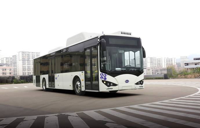 Turín incorpora cuatro buses más BYD puro eléctricos