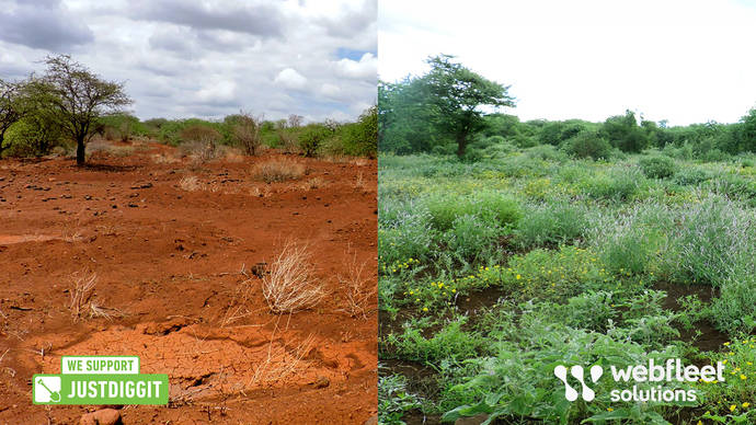 Antes y después de un paisaje restaurado por la ONG holandesa Justdiggit.