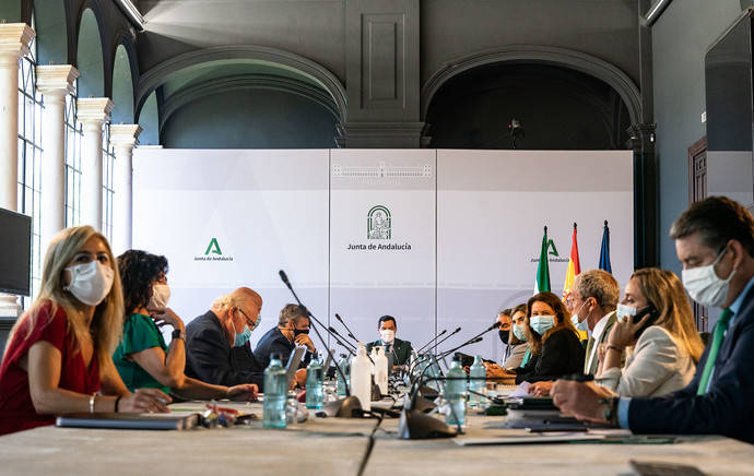 Consejo de Gobierno celebrado en el sevillano palacio de San Telmo.