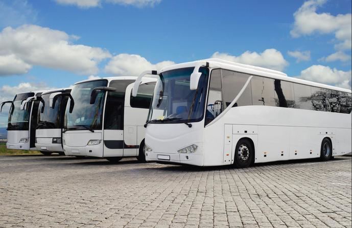 Atedibus quiere crear una bolsa de empleo de conductores para Sevilla