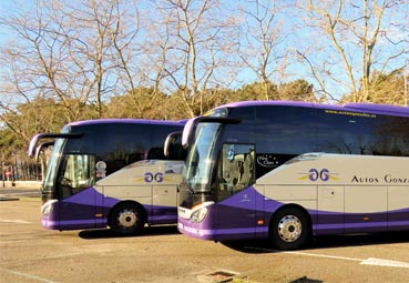 Autos González realiza el transporte del Millo Verde