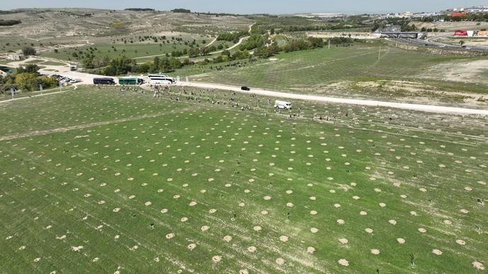 SOS Rural anuncia que no se presentará a las elecciones europeas