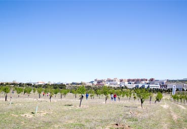 El Bosque Scania dispone de más de 24.000 árboles